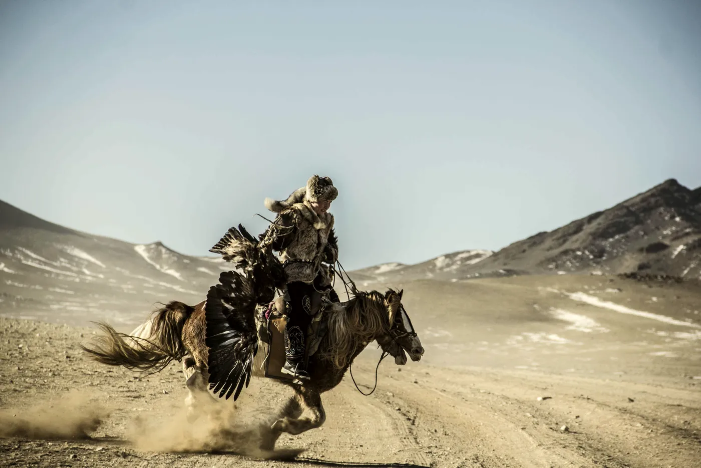 Kazakh eagle hunter on horseback in the Altai