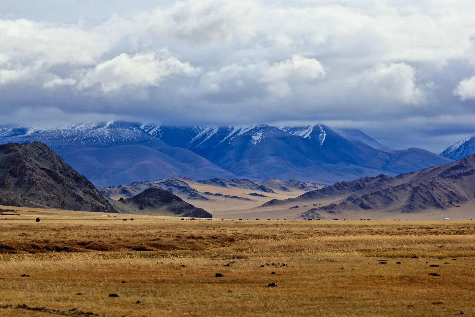 Mongolian steppe